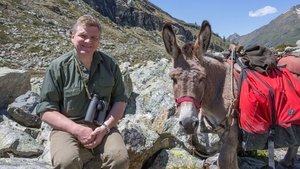 poster Wild France with Ray Mears