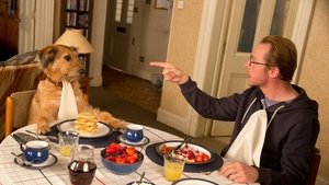Absolutely Anything (2015)