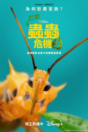 A Real Bug's Life 83