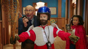 The Stray's Last Day