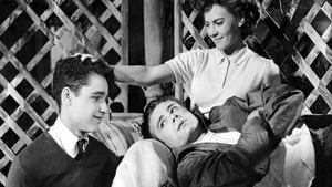 ดูหนัง Rebel Without a Cause (1955) กบฏที่ไร้สาเหตุ