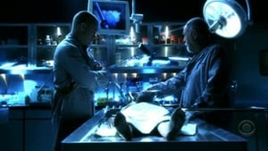 CSI – Scena del crimine 7×6