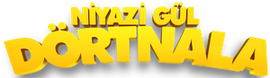 Niyazi Gül Dörtnala