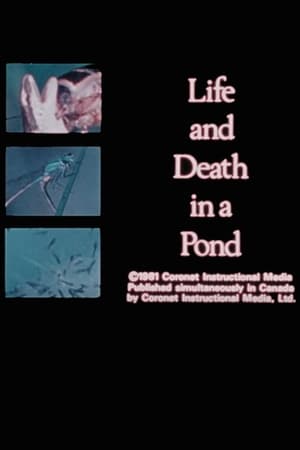Life and Death in A Pond 1981