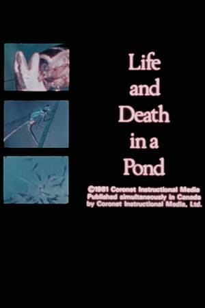 Image Life and Death in A Pond