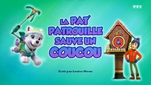 Paw Patrol Helfer auf vier Pfoten: 5×38