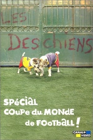 Image Les Deschiens - Spécial Coupe du Monde de football