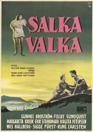 Poster Salka Valka 1954