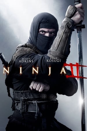 Poster Ninja: Shadow of a Tear (2013)