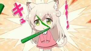 Episódio 7 - O Dia das Gatinhas - Nyanko Days