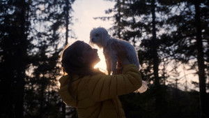 Small Dogs Bark Loud