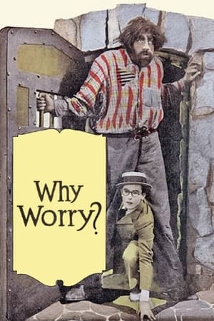 Poster Why Worry? (1923)