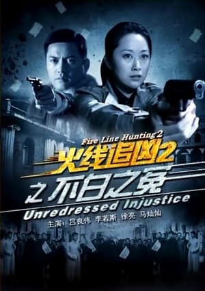 Poster 火线追凶2之不白之冤 2013