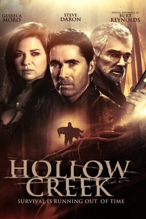 Poster Hollow Creek 2016