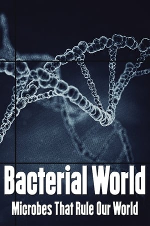 Bacterial World poster