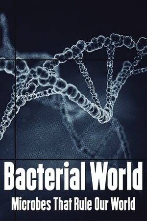 Poster Bacterial World 2016