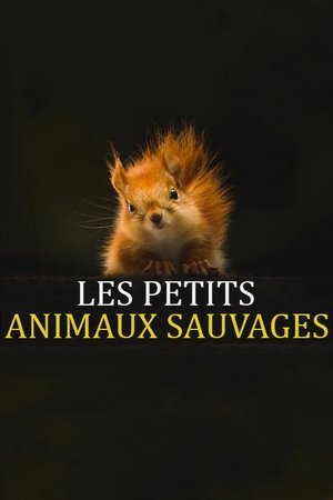 Image Les Petits Animaux Sauvages