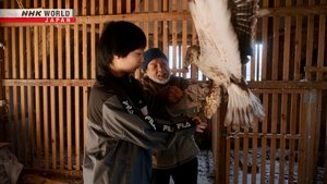 NHK WORLD PRIME: 7×24