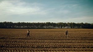 poster Detectorists