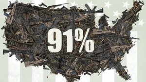 91% (2016)