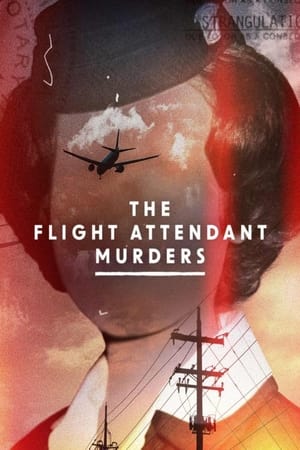The Flight Attendant Murders 2023