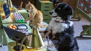 Como perros y gatos: La patrulla unida Película Completa HD 1080p [MEGA] [LATINO] 2020