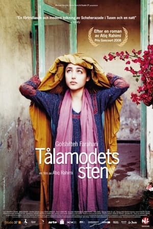 Tålamodets sten (2013)