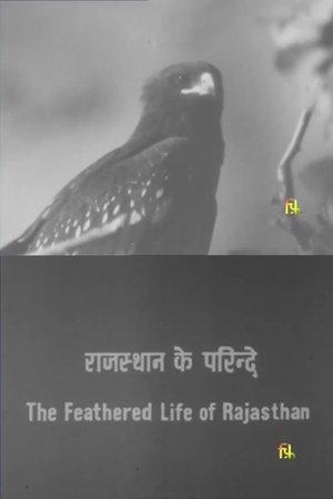 Nonton film The Feathered Life of Rajasthan (1981) terbaru sub indo Nonton film The Feathered Life of Rajasthan (1981) terbaru sub indo