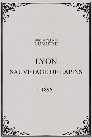 Poster di Lyon : sauvetage de lapins