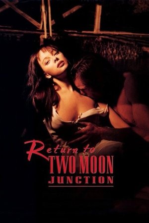 Poster Congiunzione di due lune 2 - Ritorno a Two Moon Junction 1995