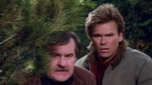 MacGyver: 2×22