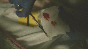 A Time to Kill: 5×7