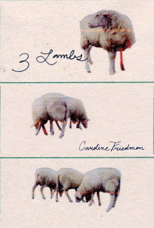 3 Lambs poster