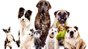 Hotel for Dogs โรงแรมสี่ขาก๊วนหมาจอมกวน พากย์ไทย