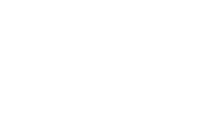 وأخيراً — Logos 1