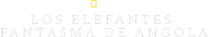 Los elefantes fantasma de Angola — Logos 11
