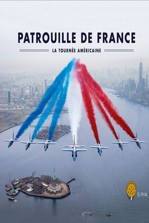 Poster Patrouille de France - La tournée Américaine (2017)