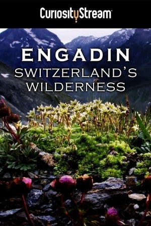 Poster Engadin: Switzerland's Wilderness (2014)