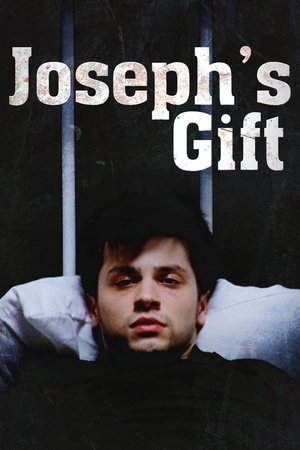 Image Joseph's Gift
