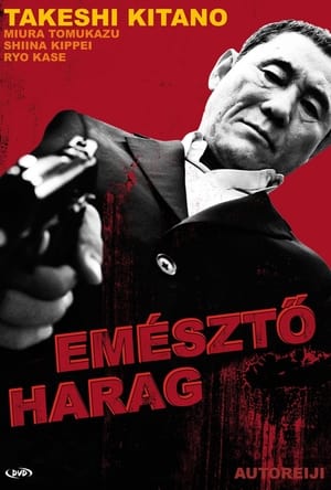 Poster Emésztő harag 2010