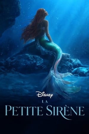 Image La Petite Sirène