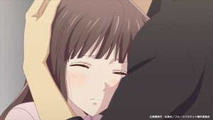 Fruits Basket: The Final Cap 13