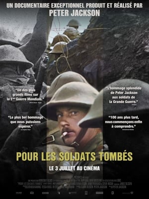 Poster Pour les soldats tombés 2018