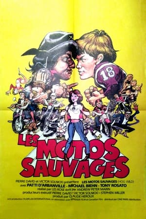 Image Les motos sauvages