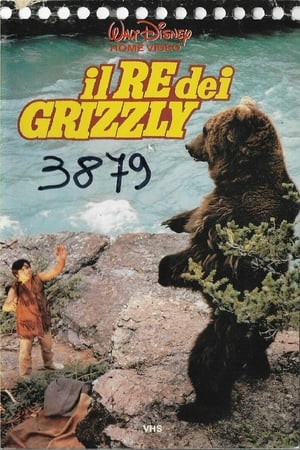 Image Il re dei grizzly