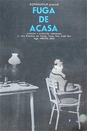 Fuga de acasă 1980