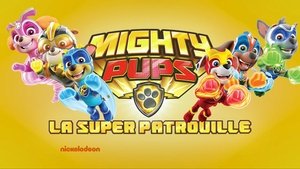 Paw Patrol Season 5 Episode 37