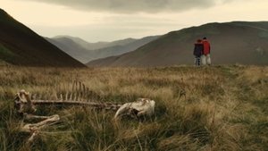 Sightseers 2012