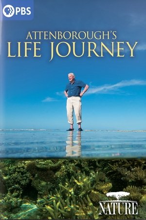 Image Attenborough's Life Journey