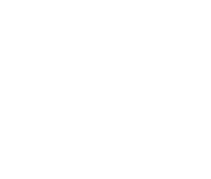 Deported
